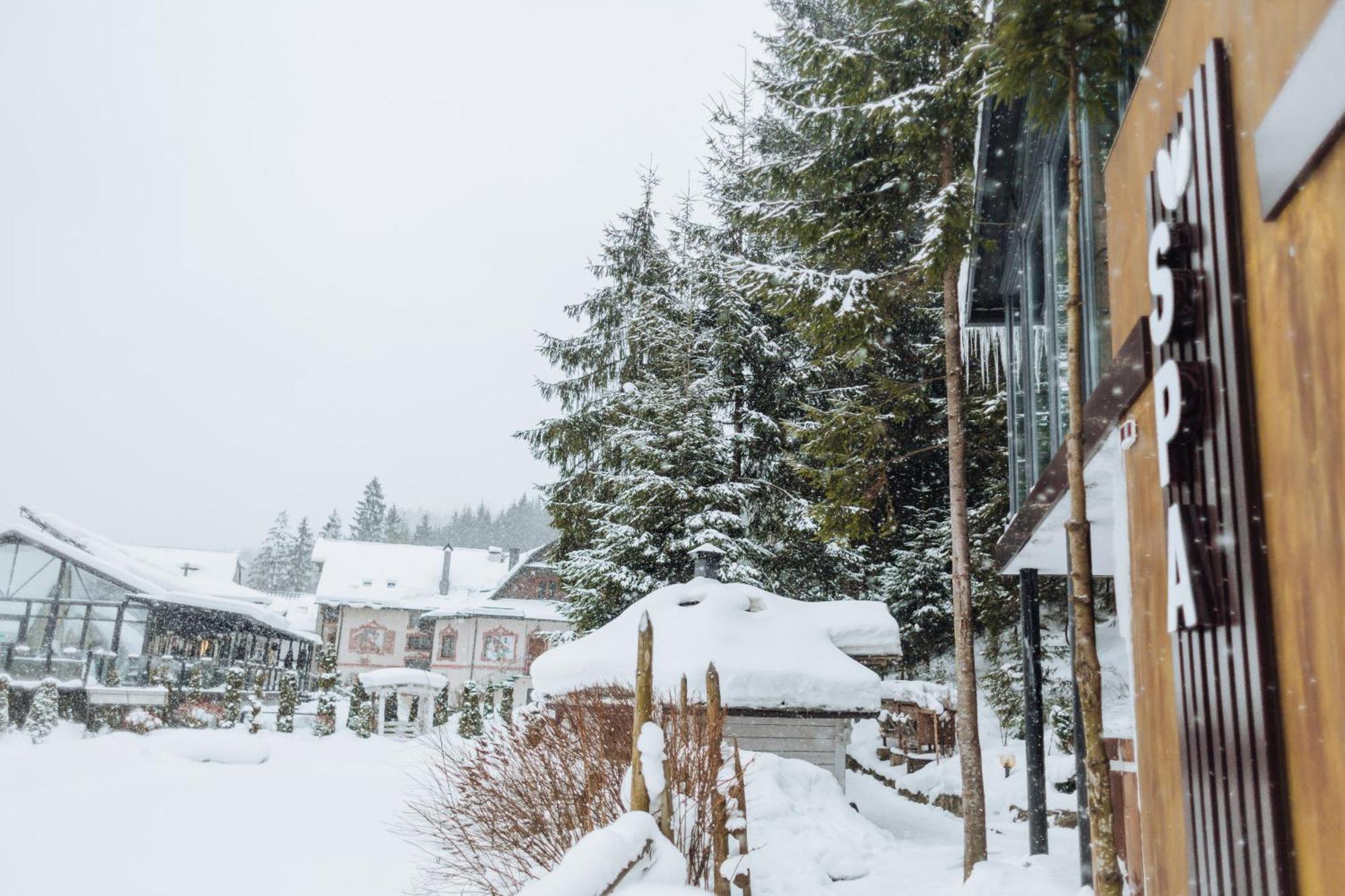 Hotel Vedmezhyi Dvir Bukoveľ Exteriér fotografie